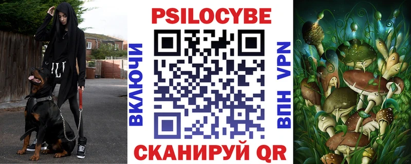 купить закладку  Ядрин  Псилоцибиновые грибы ЛСД 